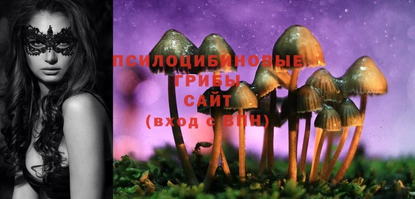 стафф Белокуриха